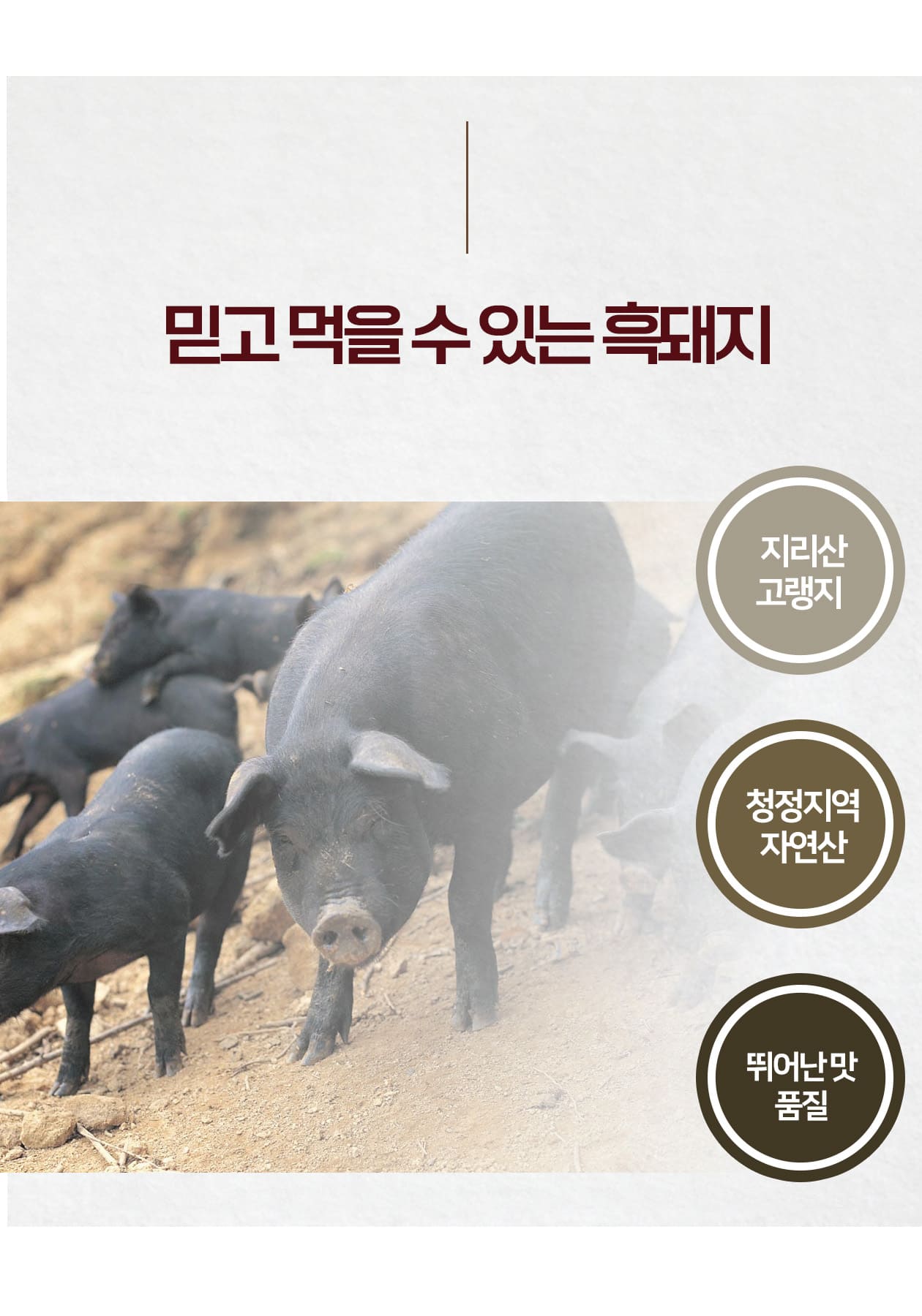 아트보드 8.jpg